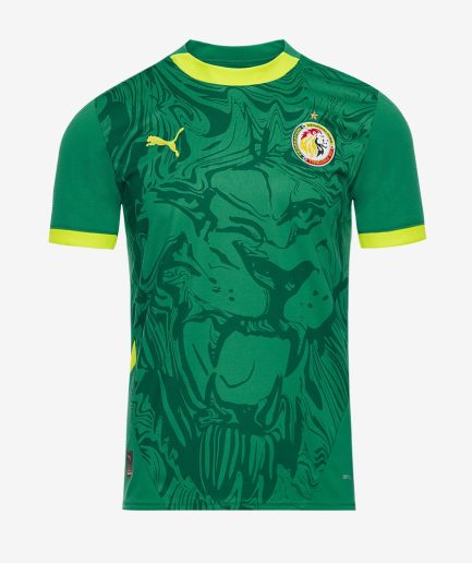 Senegal Away Jersey 2025 Replica