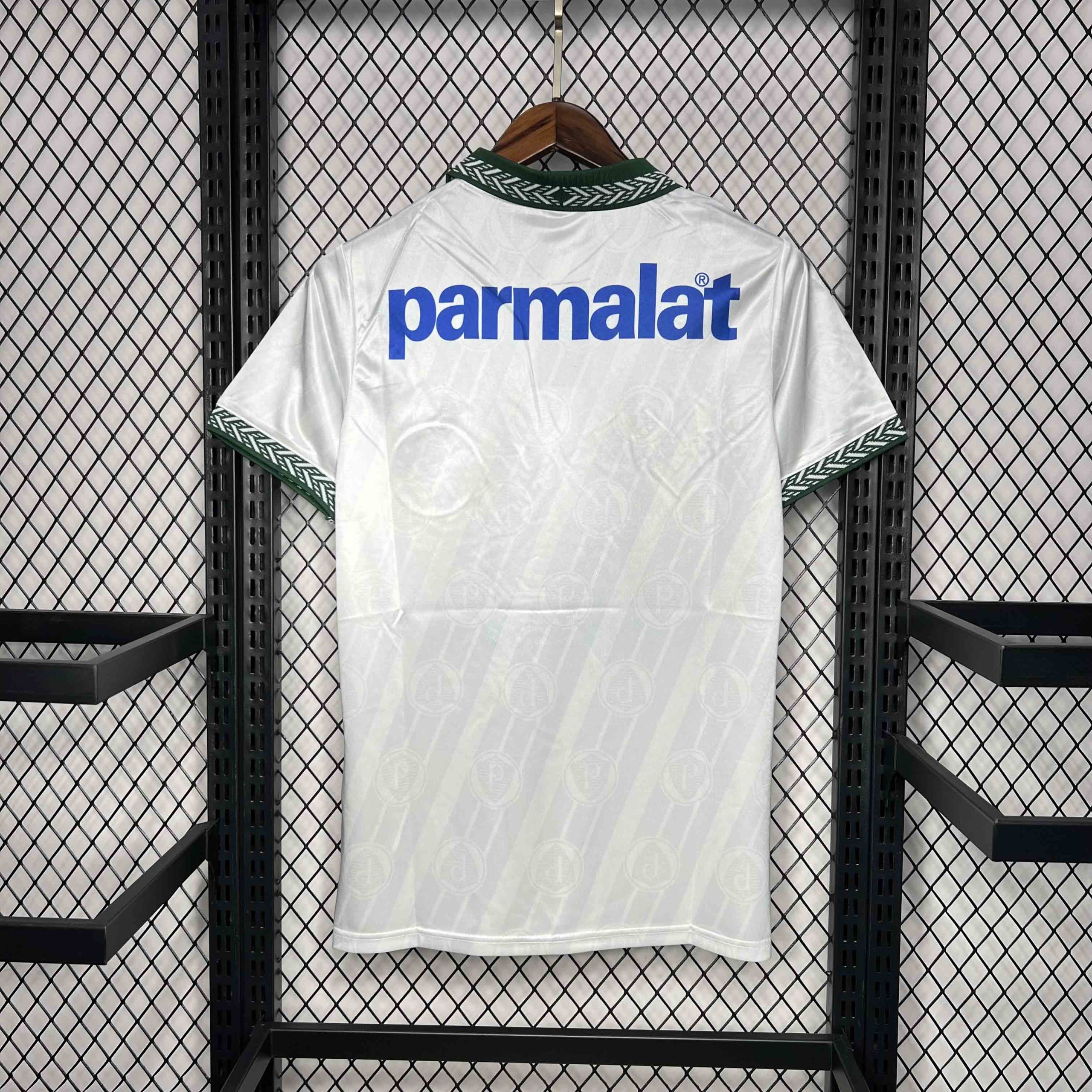 Palmeiras (19)