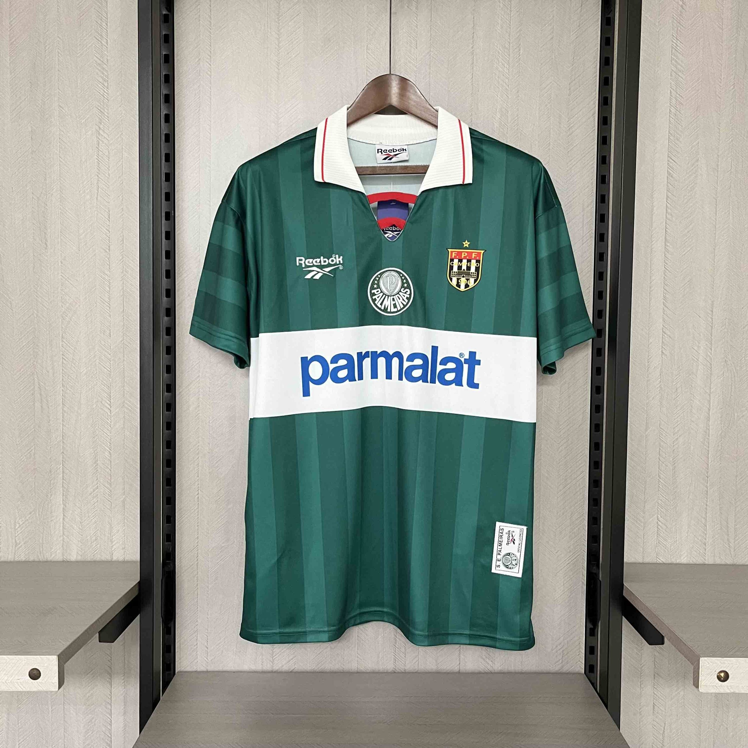 Palmeiras (4)_1