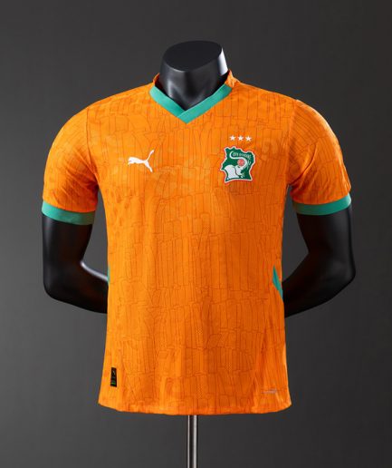 Authentic Ivory Coast Jersey 2024